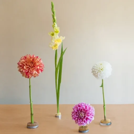 Ikebana Stayput Kenzan Flower Holder No.4 Round Small (4cmD)