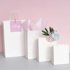 Kraft Paper Bag Shopper Medium White Pk10 (205Wx110Gx275mmH)