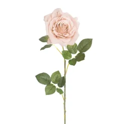 Large Colombian Rose Stem Nude (20cmDx86cmH)
