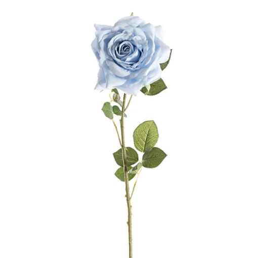 Large Colombian Rose Stem Soft Blue (20cmDx86cmH)