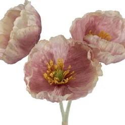 Large Poppy 3 Stem Bunch Blush Pink (14cmDx61cmH)