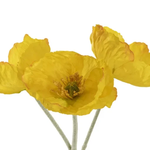Large Poppy 3 Stem Bunch Yellow (14cmDx61cmH)