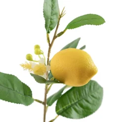 Lemon Spray Yellow (42cmH)