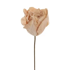 Lina Large Crepe Paper Rose Stem Nude (24cmDx66cmH)