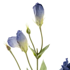 Lisianthus Spray Dusty Blue (89cmH)