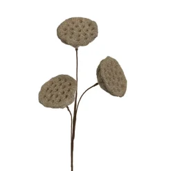 Lotus Pod Spray Brown (63cmH)