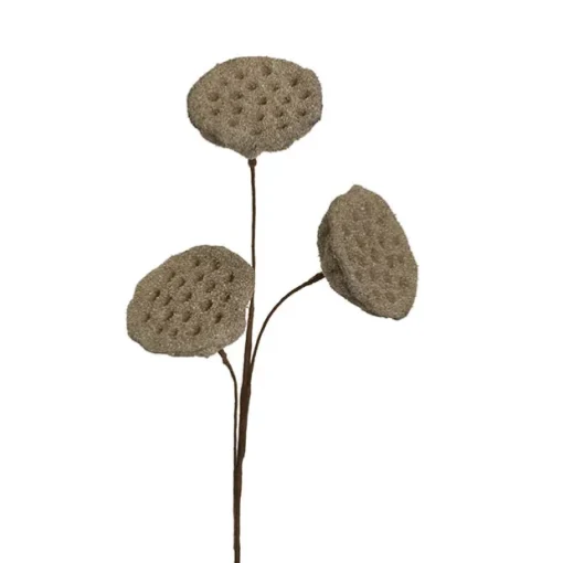 Lotus Pod Spray Brown (63cmH)