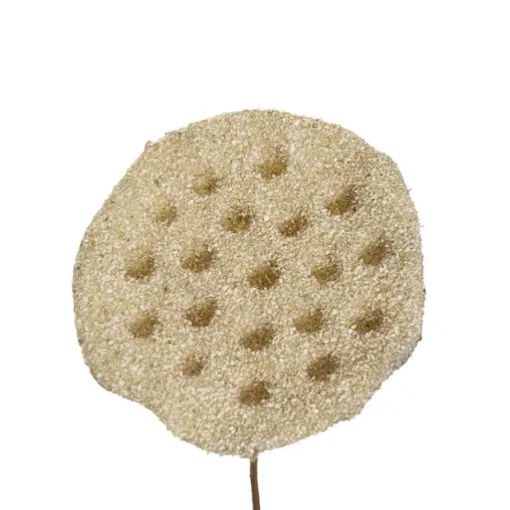 Lotus Pod Spray Nude Beige (63cmH)
