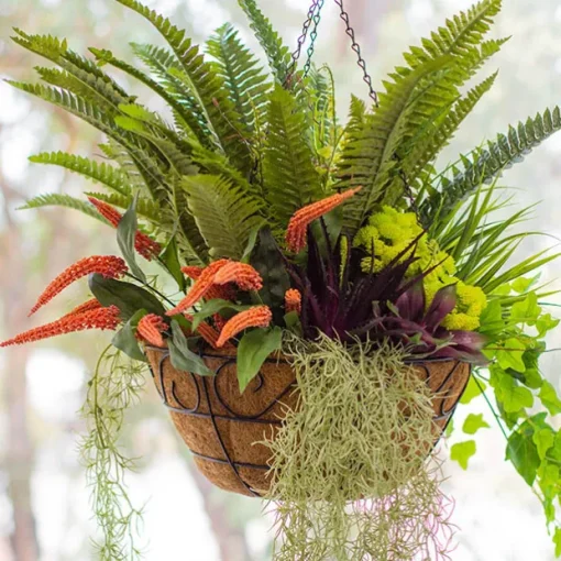 Metal Hanging Basket Scroll with Insert (30.5cm)