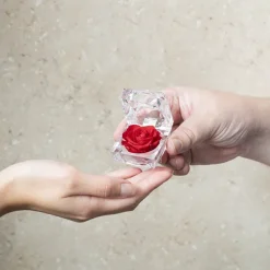 Mini Diamond Shape Acrylic Box Clear (4.5cmH)