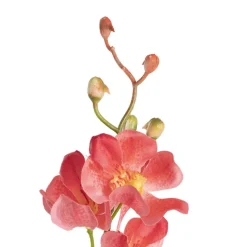 Mokara Orchid Spray Peach (49cmH)