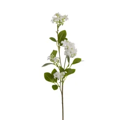 Murraya Paniculata Orange Jasmine Spray White (78cmH)