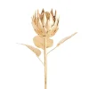 Native Protea Open Head Metallic Gold (63.5cmH)