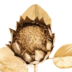 Native Protea Open Head Metallic Gold (63.5cmH)