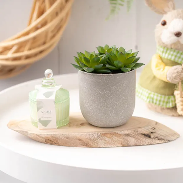 Natural Wood Timber Slice Oval Brown (Approx 29x11x2.5cmH)