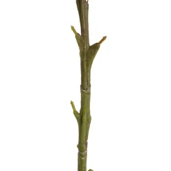 Onion Ball Stem Red (47cmH)