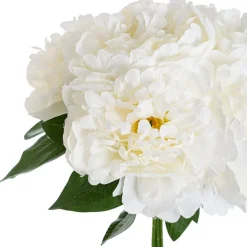 Peony Bouquet x 5 Flower Heads White (32cmH)