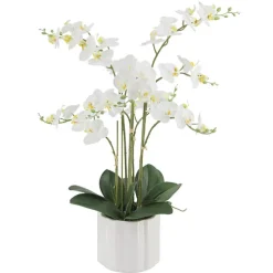 Phalaenopsis Orchid Real Touch 6 Stem Potted White (57cmH)