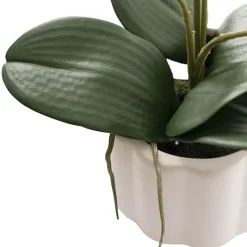 Phalaenopsis Orchid Real Touch 6 Stem Potted White (57cmH)