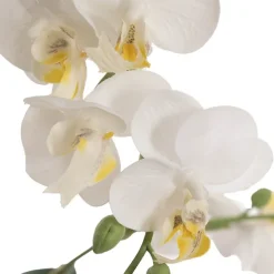 Phalaenopsis Orchid Real Touch 6 Stem Potted White (57cmH)