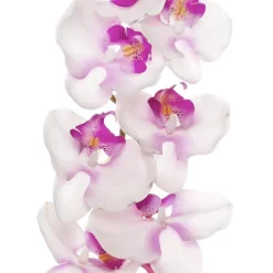 Phalaenopsis Orchid Real Touch 8 Flowers Pink (97cmH)