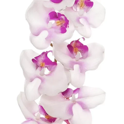 Phalaenopsis Orchid Real Touch 8 Flowers Pink (97cmH)