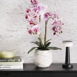 Phalaenopsis Orchid Real Touch 3Stem Potted Fuchsia (60cmH)