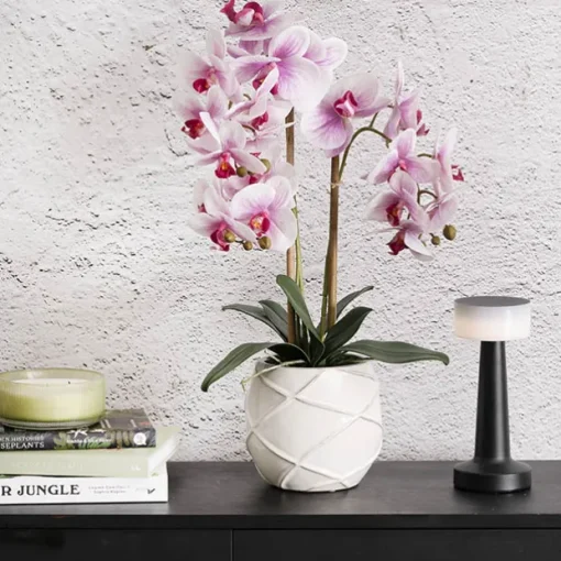 Phalaenopsis Orchid Real Touch 3Stem Potted Fuchsia (60cmH)