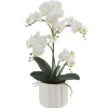 Phalaenopsis Orchid Real Touch 2 Stem Potted White (47cmH)