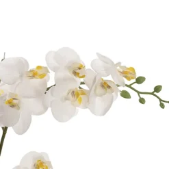 Phalaenopsis Orchid Real Touch 2 Stem Potted White (47cmH)