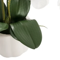 Phalaenopsis Orchid Real Touch 2 Stem Potted White (47cmH)