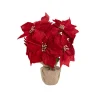Poinsettia Potted Burlap Wrapped 11 Flowers Red (43cmH)