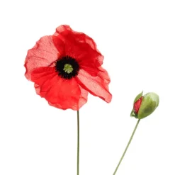 Poppy Flower Stem with Black Centre Red (11cmDx60cmH)