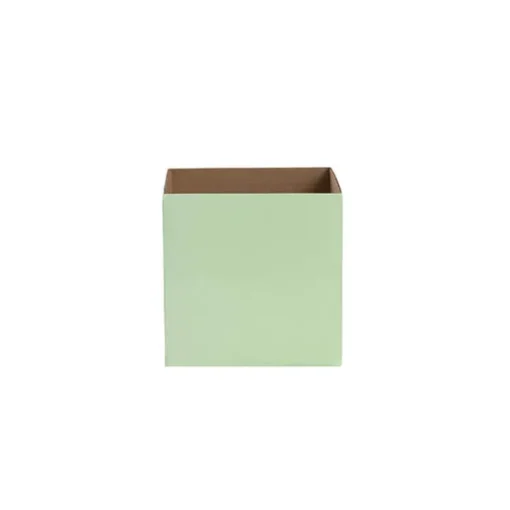 Posy Box Petite Minty Fresh Pack 20 (10x10x10cmH)