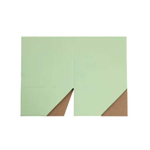 Posy Box Petite Minty Fresh Pack 20 (10x10x10cmH)