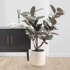 Premium Real Touch Artificial Rubber Tree Green (120cmH)