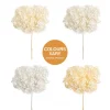 Preserved Dried Anna Hydrangea Stem Large White (68cmH)