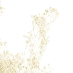Preserved Dried Baby's Breath Bunch White (57cmH)