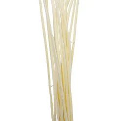 Preserved Dried Billy Button Bunch 20 Stems White