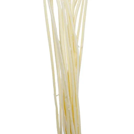 Preserved Dried Billy Button Bunch 20 Stems White