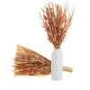 Preserved Dried Mixed Flower Bouquet Beige (38cmH)