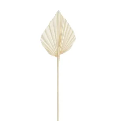 Preserved Dried Palm Spear Leaf Bleach White (45-50cmH)