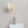Preserved Dried Palm Spear Leaf Light Beige (45-50cmH)