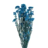 Preserved Dried Rice Flower Bunch 70g Blue