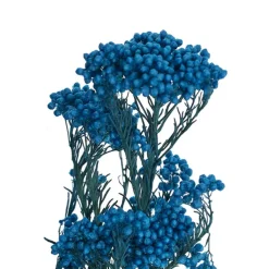 Preserved Dried Rice Flower Bunch 70g Blue
