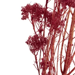 Preserved Dried Rice Flower Bunch 70g Wine