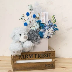 Preserved Dried Scabiosa x 10 Head Bunch Blue