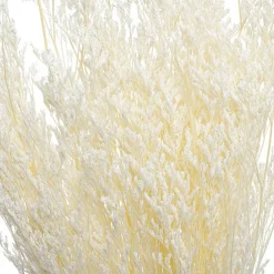 Preserved Dried Sea Lavender Bunch 100g White