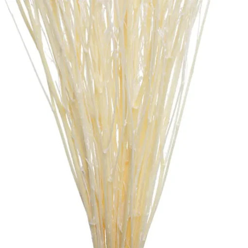 Preserved Dried Sea Lavender Bunch 100g White