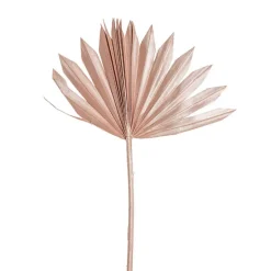 Preserved Dried Sun Cut Palm Leaf Rose Gold (40-45cmH)